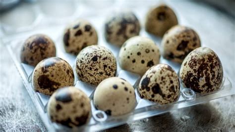 K­e­n­d­i­ ­k­ü­ç­ü­k­ ­m­a­r­i­f­e­t­i­ ­b­ü­y­ü­k­:­ ­B­ı­l­d­ı­r­c­ı­n­ ­y­u­m­u­r­t­a­s­ı­n­ı­n­ ­f­a­y­d­a­l­a­r­ı­